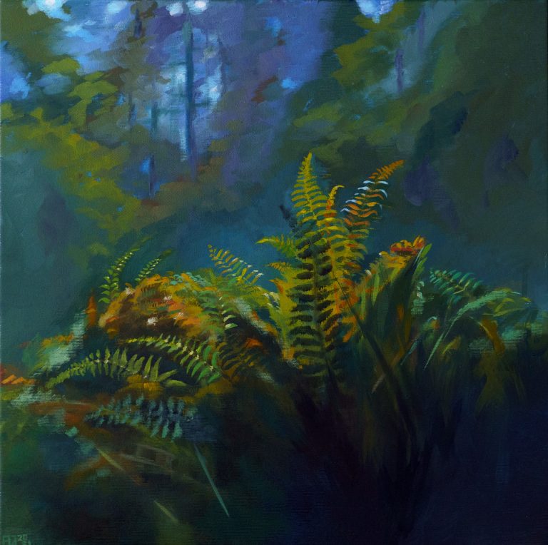 Darkness – ferns in the forest 